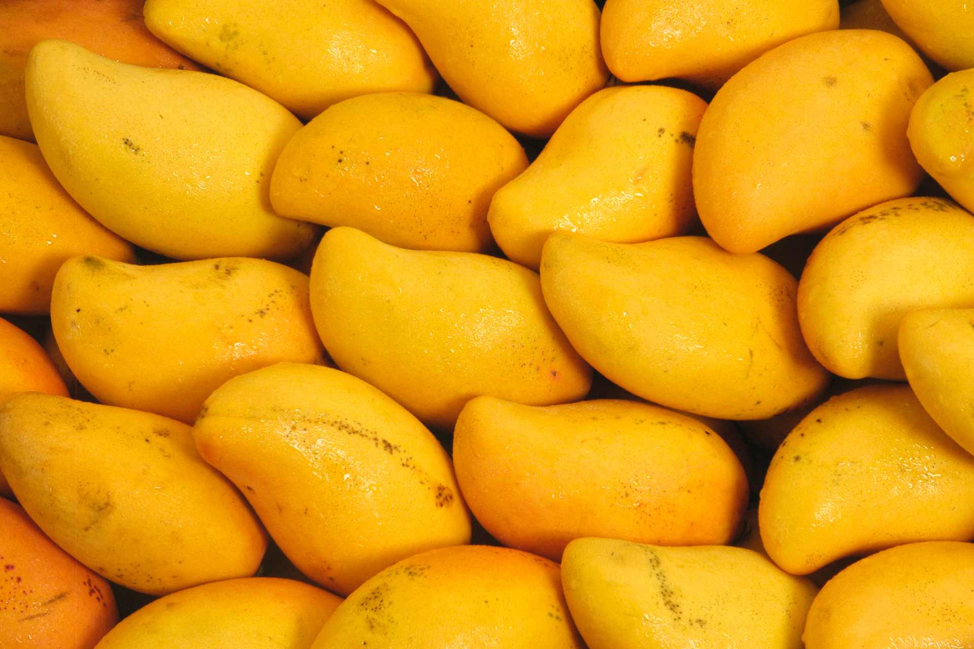 Pakistani Mangoes
