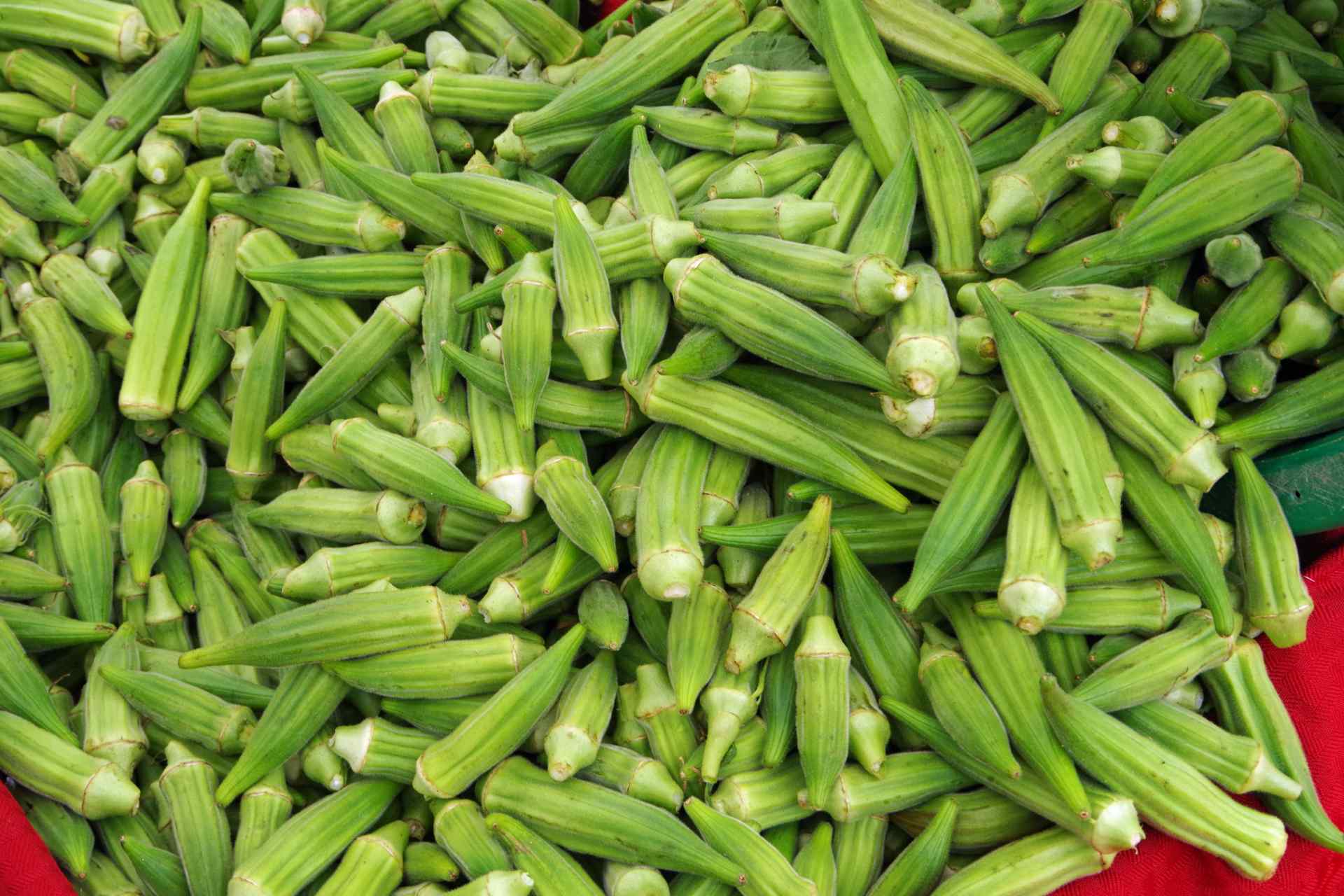 3 Amazing Lady Finger Recipes