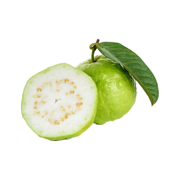 Guava @SaveCo Online Ltd