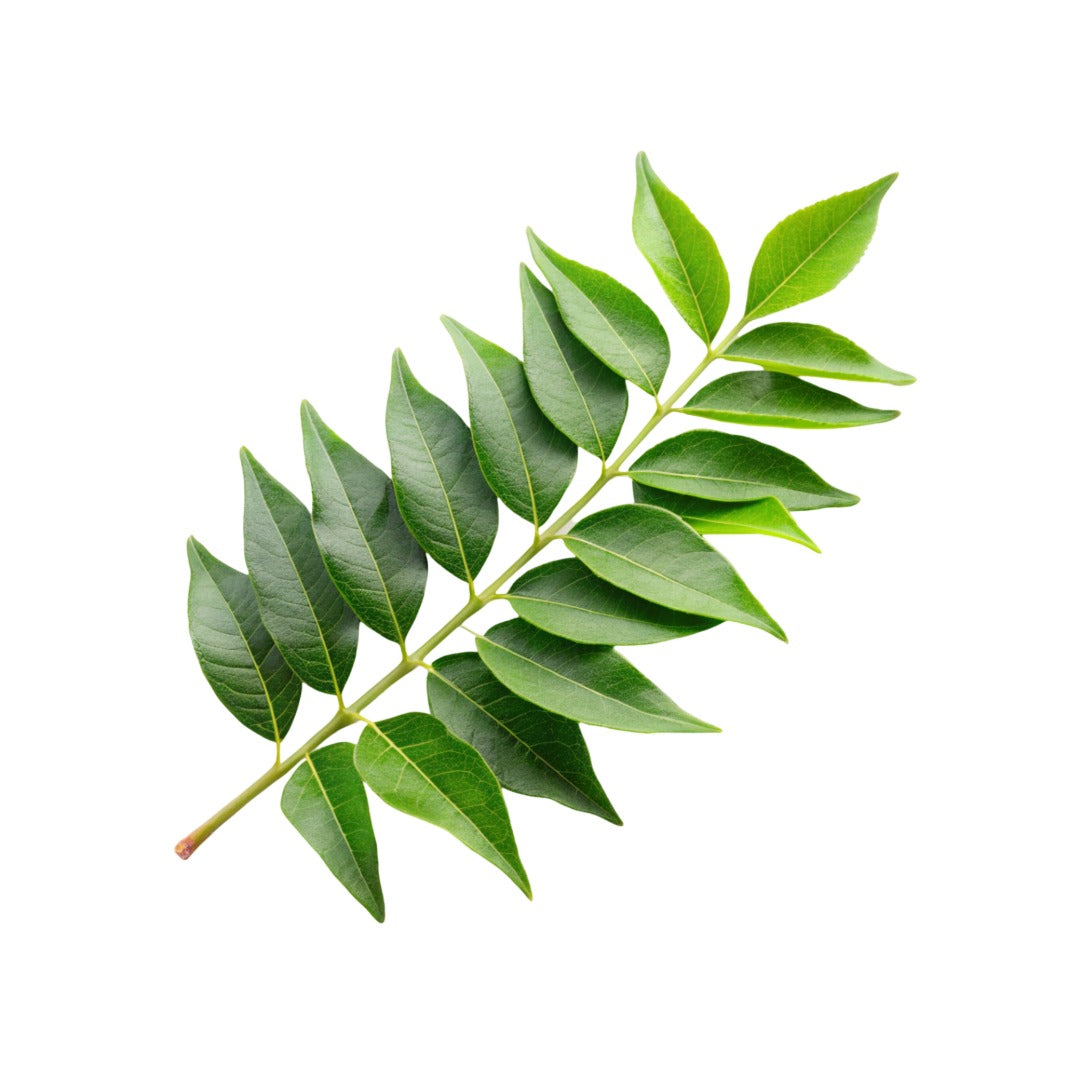 Curry Leaves - SaveCo Cash & Carry