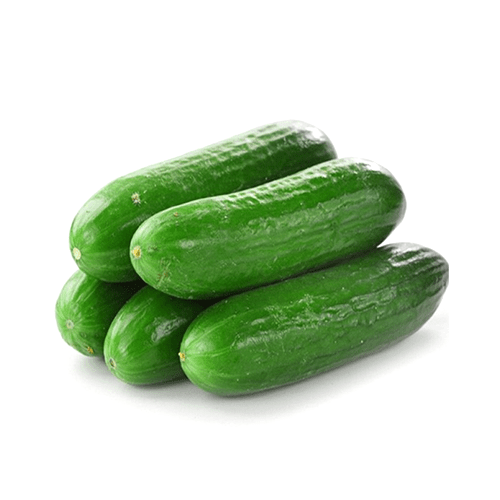 Baby Cucumber SaveCo Online Ltd