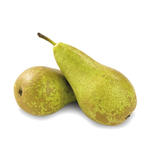 Conference Pears SaveCo Bradford