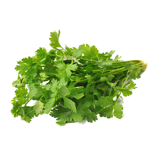 Fresh Coriander - SaveCo Cash & Carry