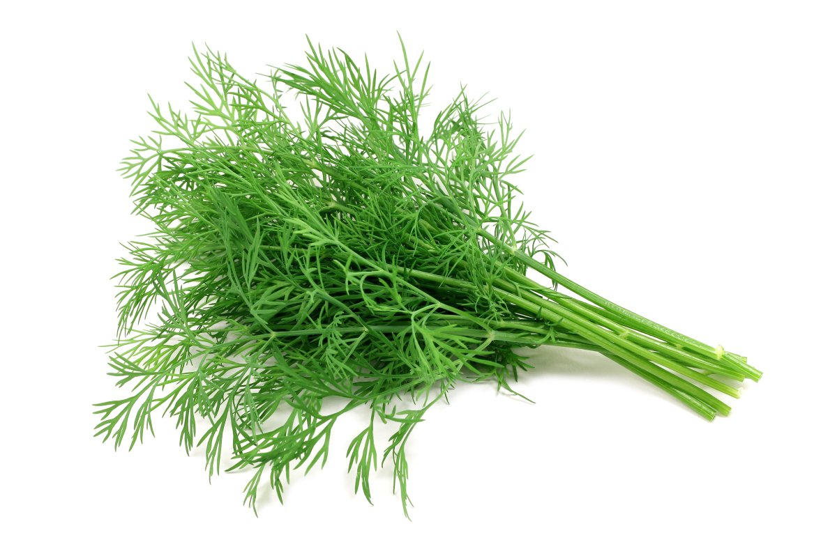 Dill - SaveCo Cash & Carry