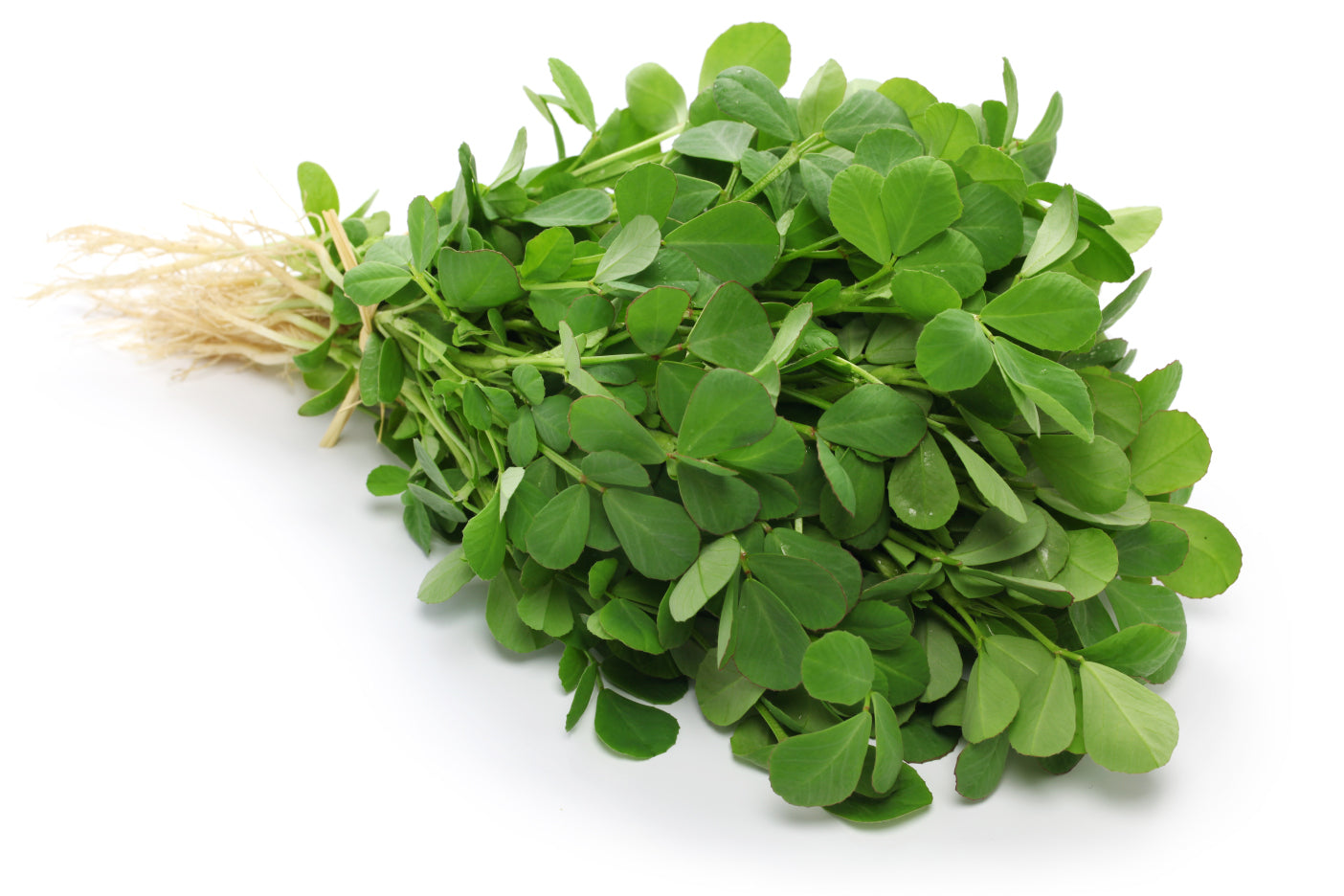 Fenugreek (Methi) - SaveCo Cash & Carry