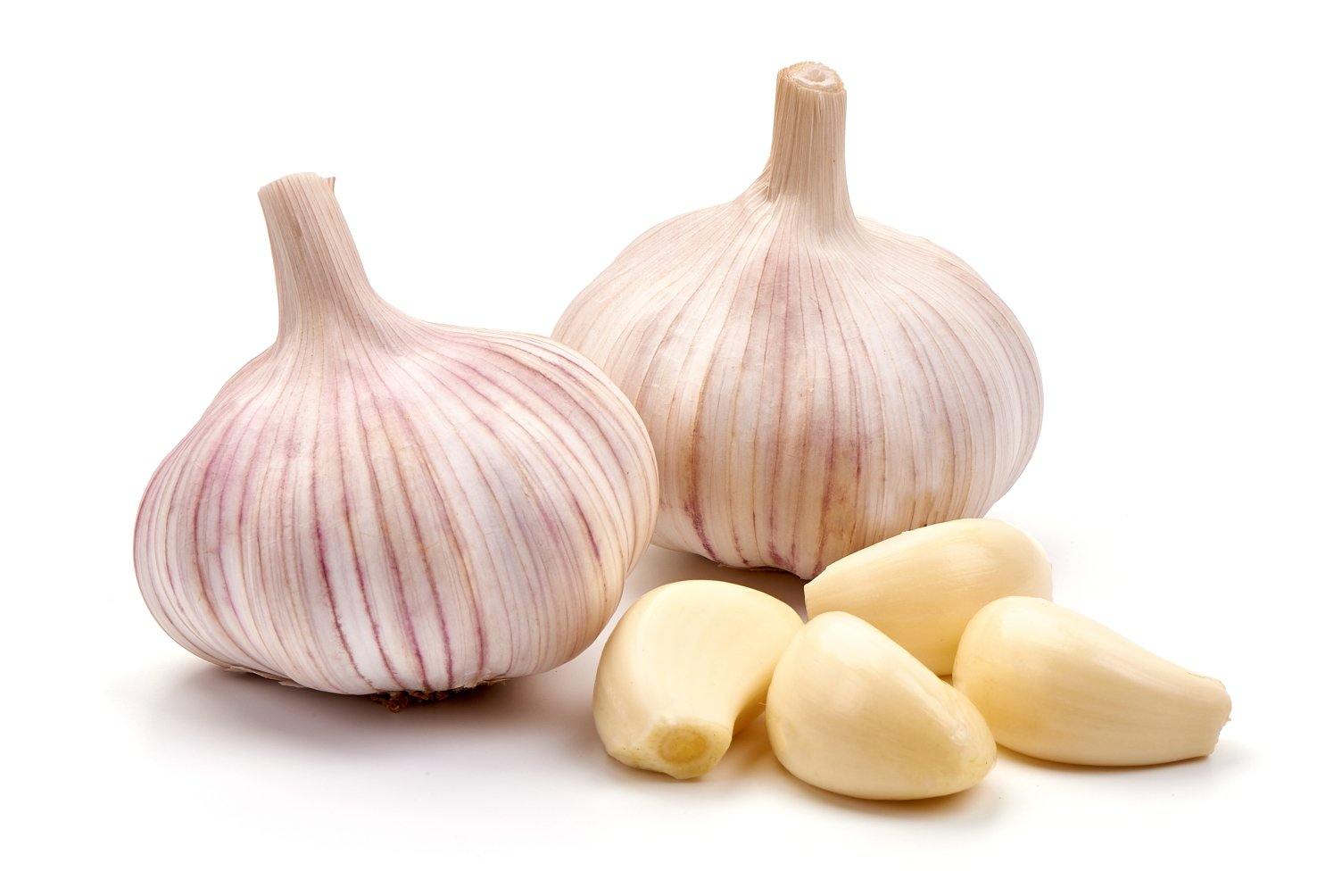 Fresh garlic per KG SaveCo Online Ltd