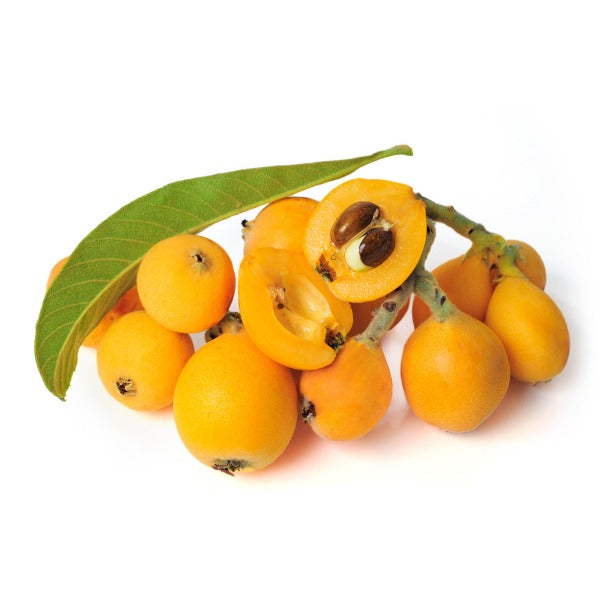 Fresh Loquat/Nispero Punnet @SaveCo Online Ltd