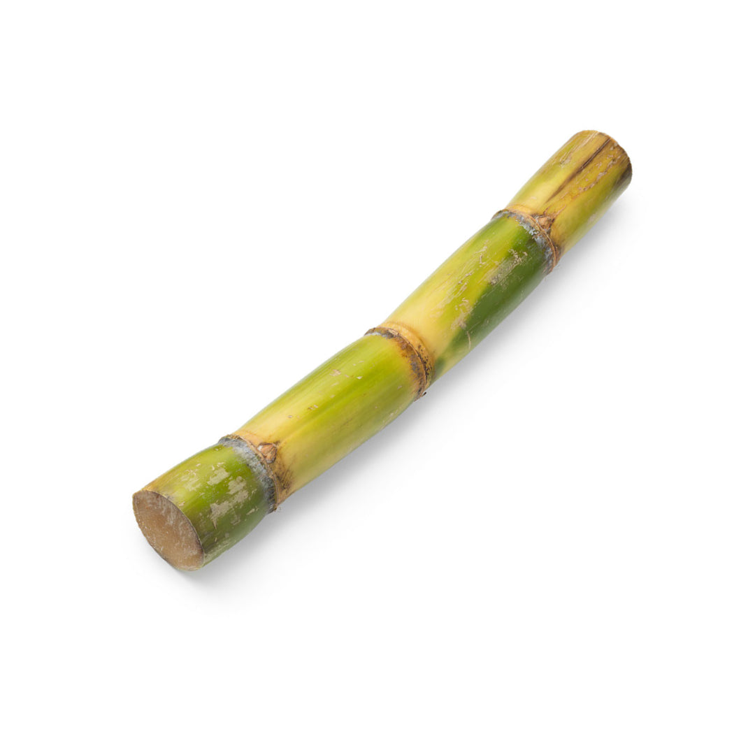Sugar Cane Stick @ SaveCo Online ltd