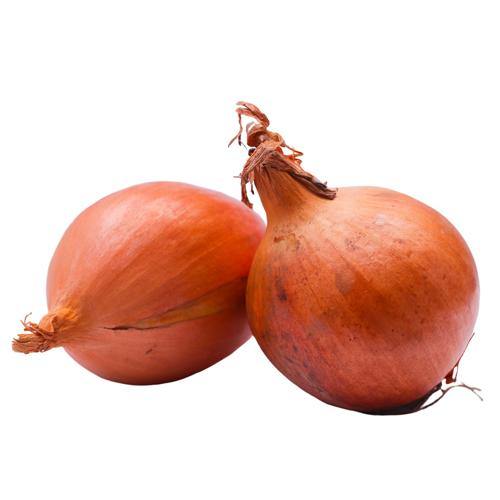 Bombay onion net SaveCo Online Ltd