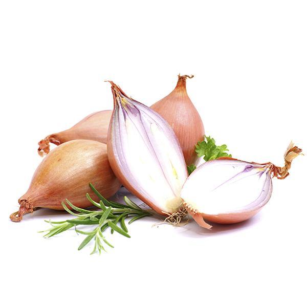 Shallots net produce of France SaveCo Online Ltd