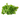 Beyond Just Halal Meat: Discover SaveCo's Extensive Range of Fresh Produce and Specialist Groceries