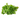 Beyond Just Halal Meat: Discover SaveCo's Extensive Range of Fresh Produce and Specialist Groceries