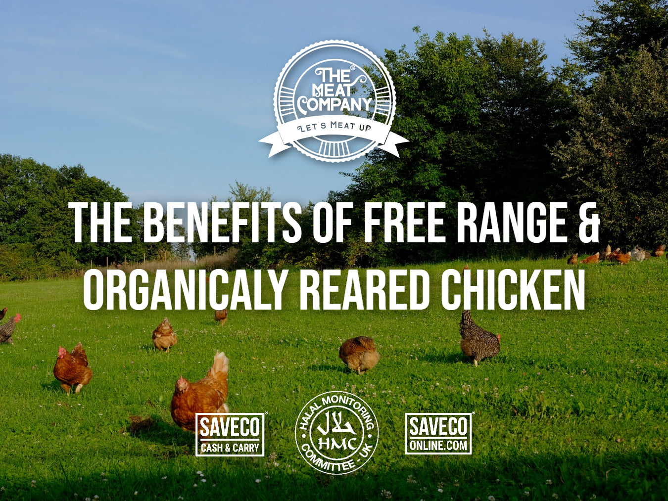 The Benefits Of Free Range & Organically Reared Chicken at The Meat Company Bradford