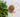 A Nutritional Powerhouse: Meethi