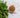 A Nutritional Powerhouse: Meethi