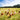 Halal Organic Chicken & Free Range Chicken SaveCo Online Ltd