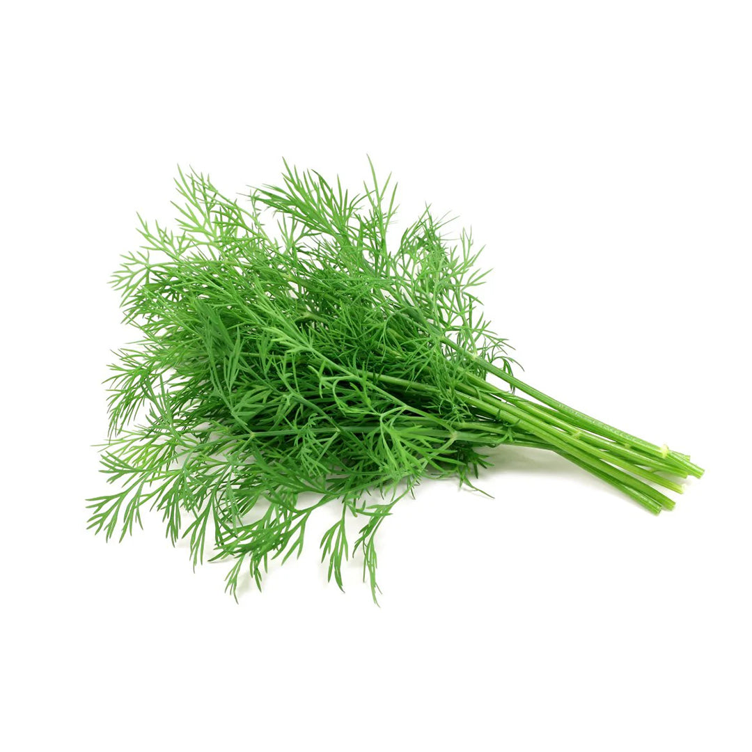 Fresh Dill - SaveCo Cash & Carry