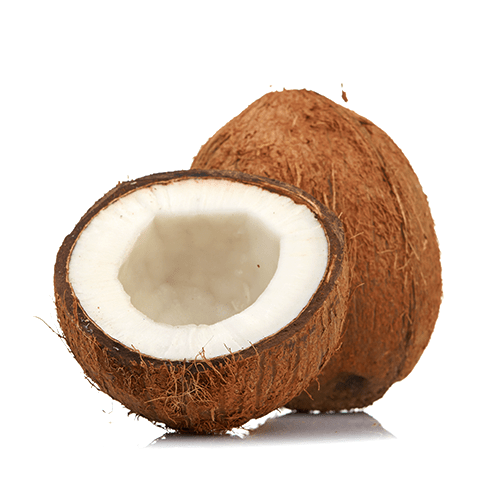 Coconut SaveCo Bradford