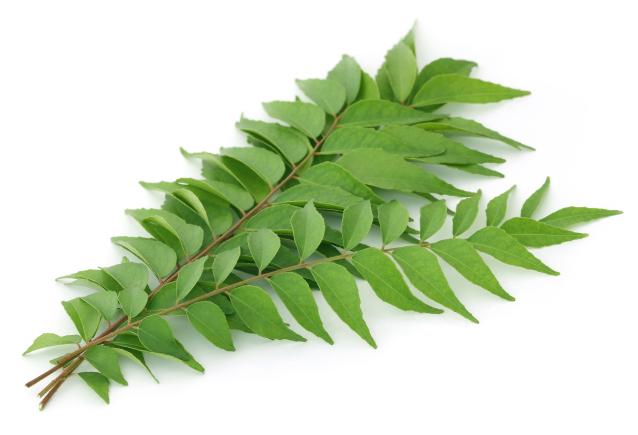 Curry Leaves - SaveCo Cash & Carry