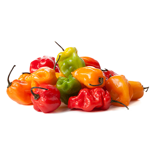 Fresh Hot (Habenero) Pepper @SaveCo Online Ltd