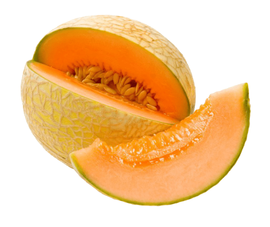 Cantaloupe Melon SaveCo Bradford