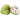 Custard Apple (small) @SaveCo Online Ltd
